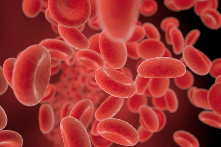 Red blood cells